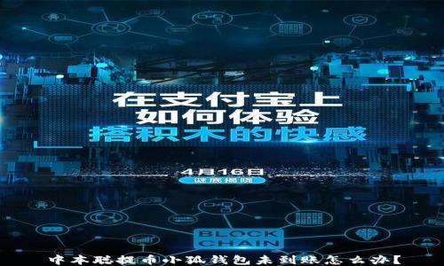 
中本聰提幣小狐錢包未到賬怎么辦？