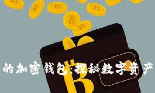 全球最安全的加密錢包：探秘?cái)?shù)字資產(chǎn)的保護(hù)之道
