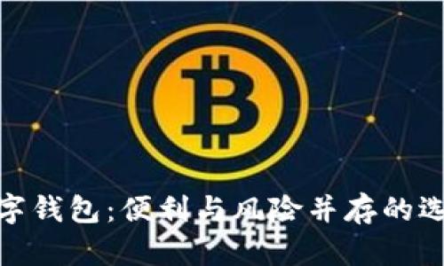 數(shù)字錢包:便利與風(fēng)險并存的選擇
