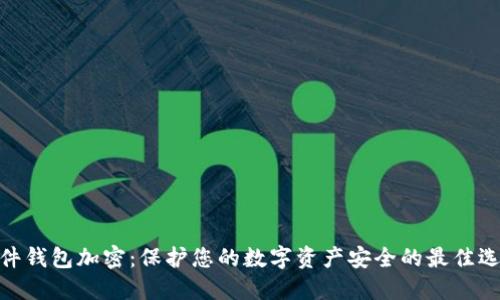硬件錢包加密:保護(hù)您的數(shù)字資產(chǎn)安全的最佳選擇