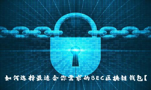 如何選擇最適合你需求的BEC區(qū)塊鏈錢包？