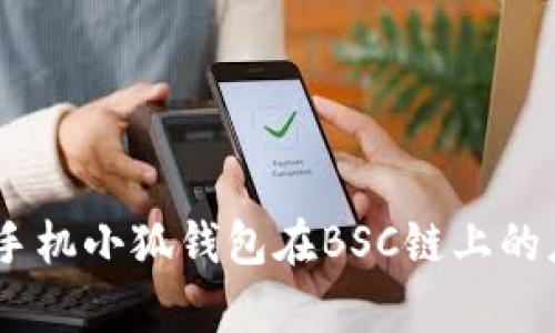 全面解析：手機小狐錢包在BSC鏈上的應(yīng)用與優(yōu)勢